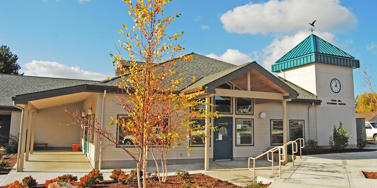 Cedar Mill Veterinary Hospital, Beaverton – H & A Construction Company